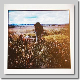 Lion and lioness, Nairobi Game Park